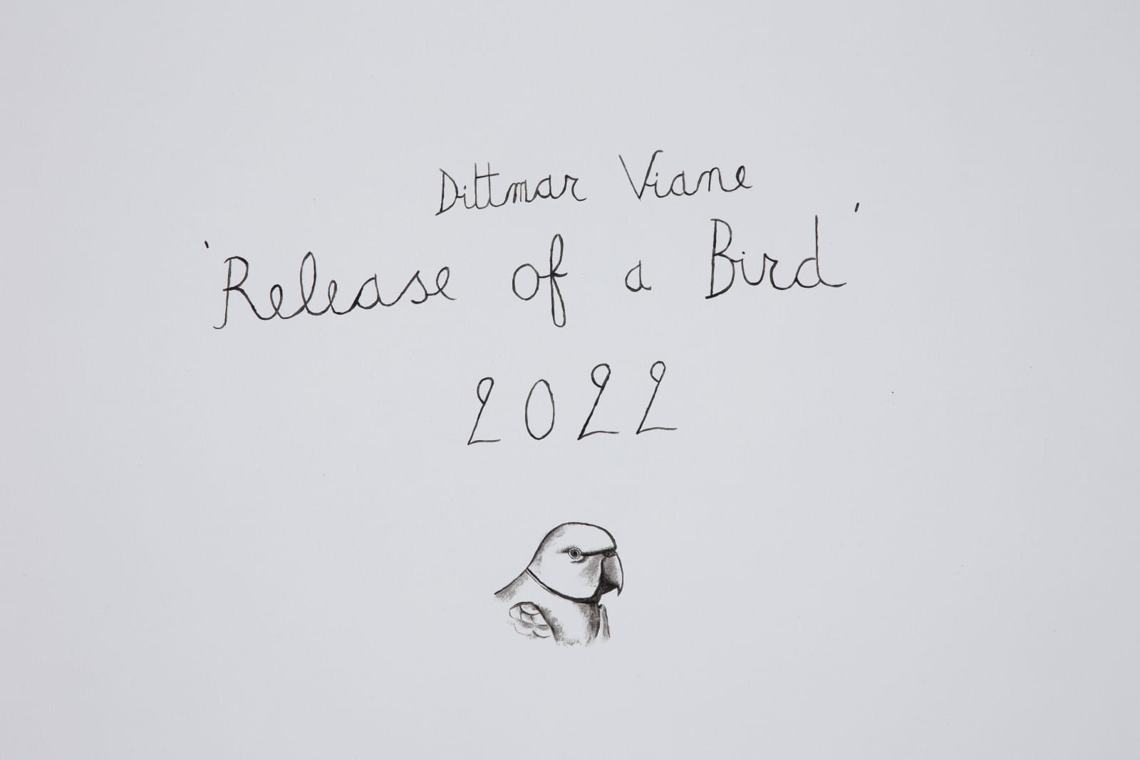 Dittmar Viane, Release of a Bird, 2022