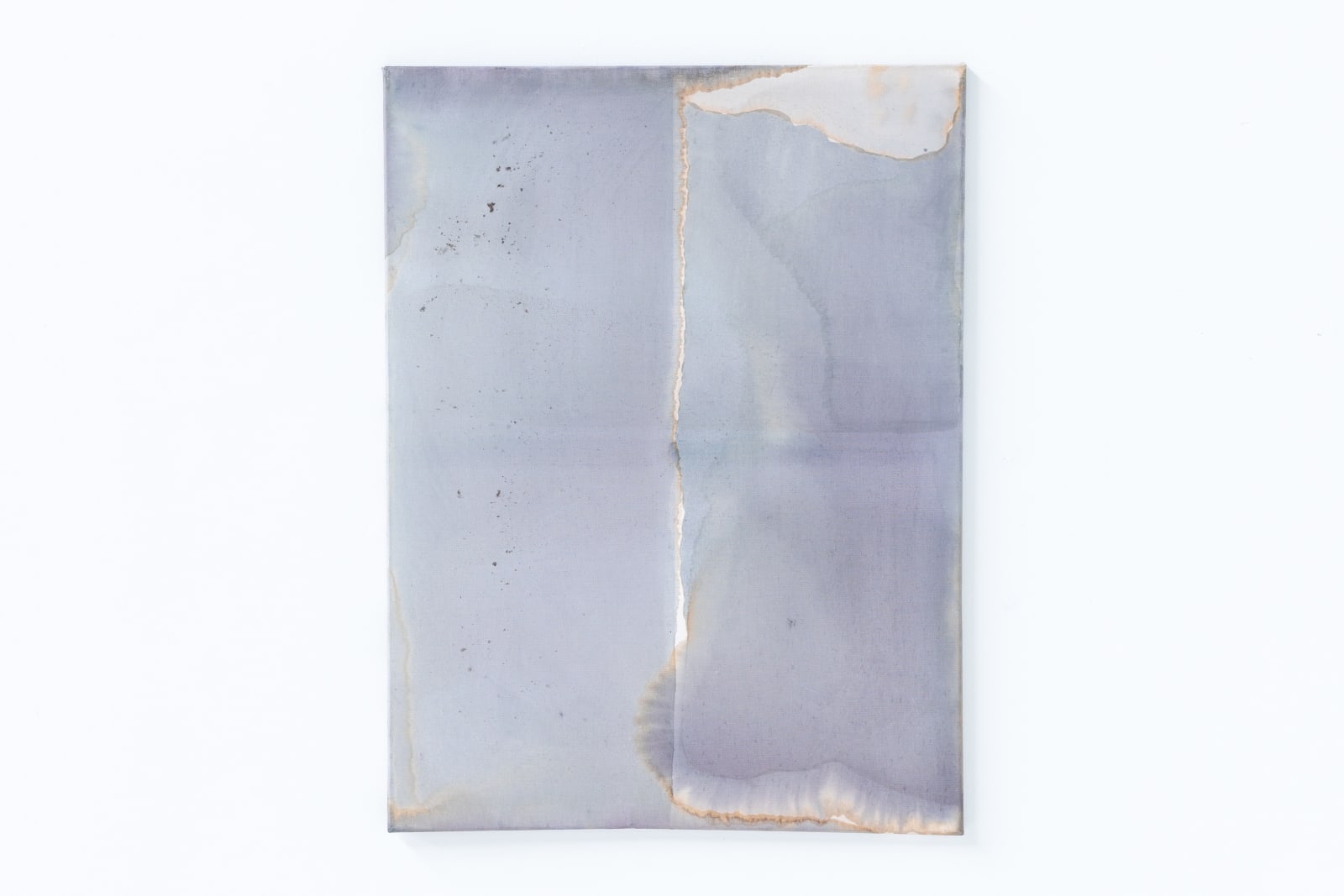 Ciro Duclos, Purple Corn Paintings (big) #1, 2021