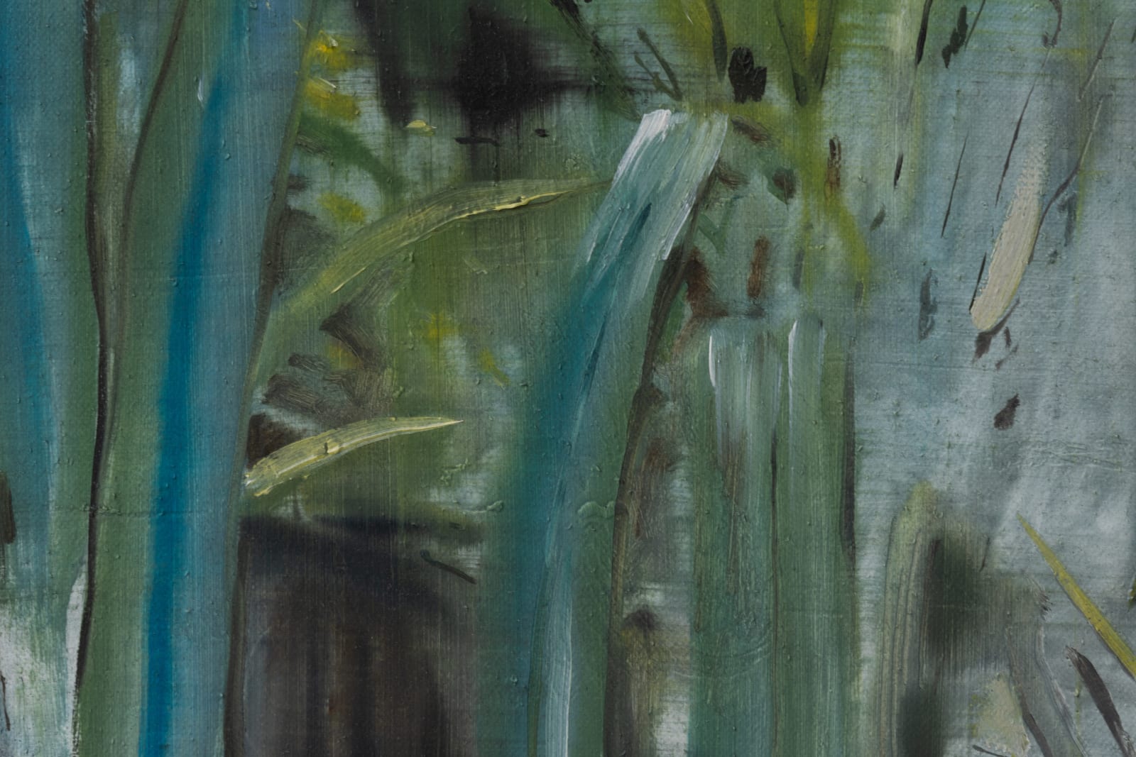 Bram Kinsbergen, Botanical studies (02), 2023