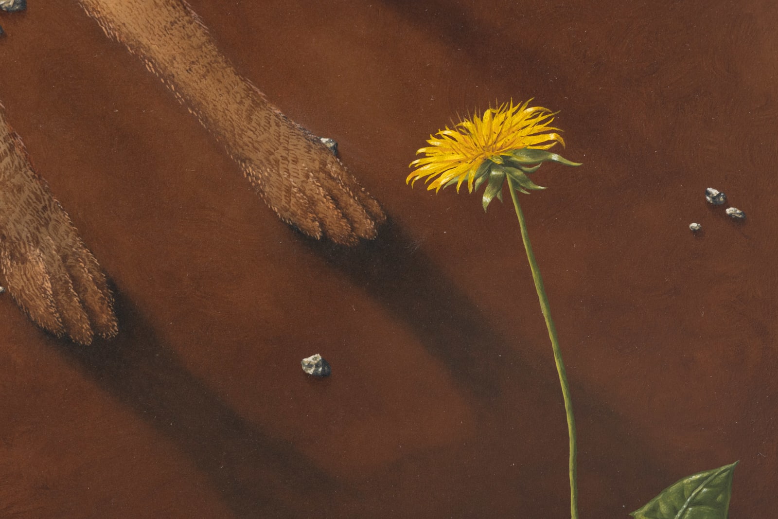 Dittmar Viane, The Hare and the Snare, 2022