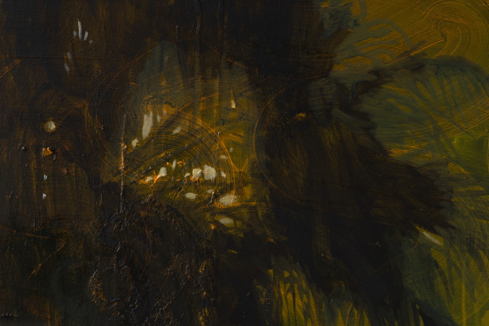 Bram Kinsbergen, The discomfort of doing alright, 2023