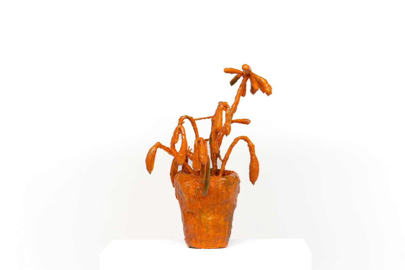 Tom Volkaert, Forever Wilted, 2023