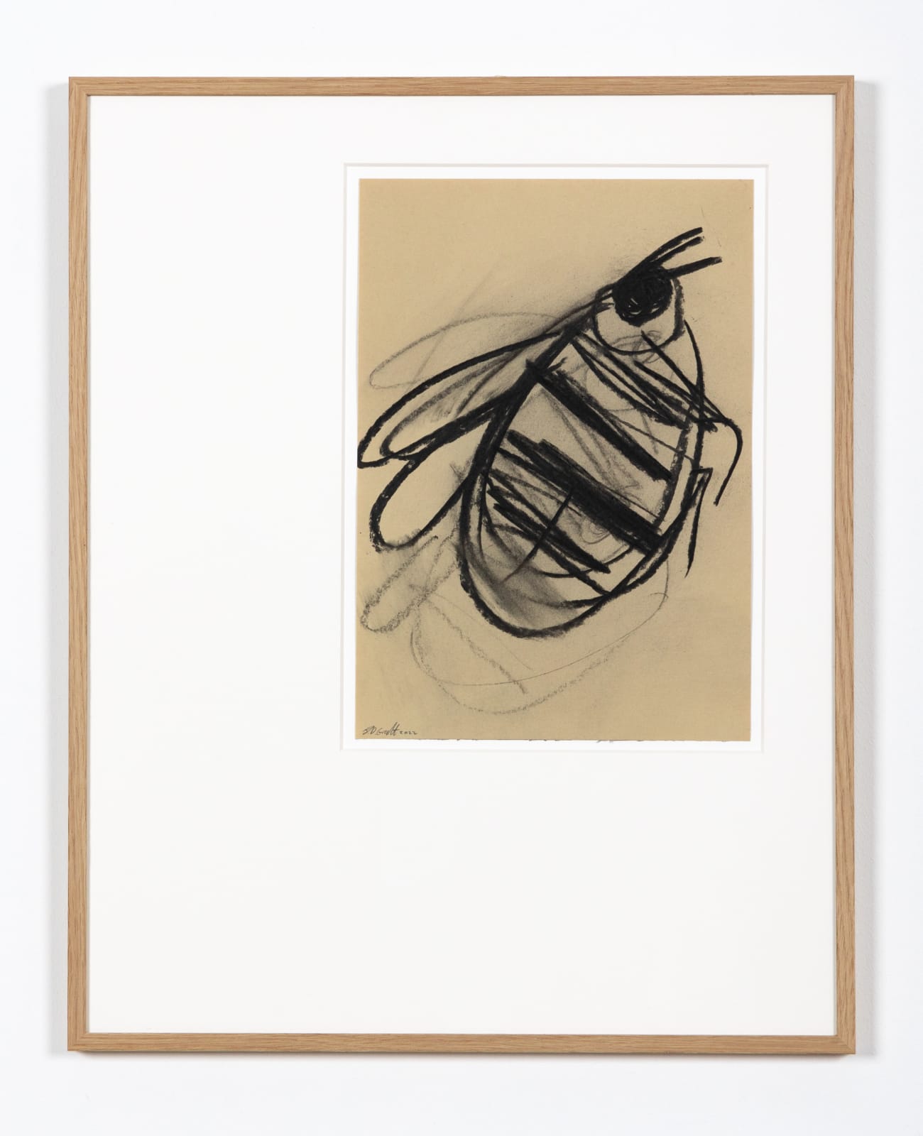 B.D. Graft, Bee 2, 2022