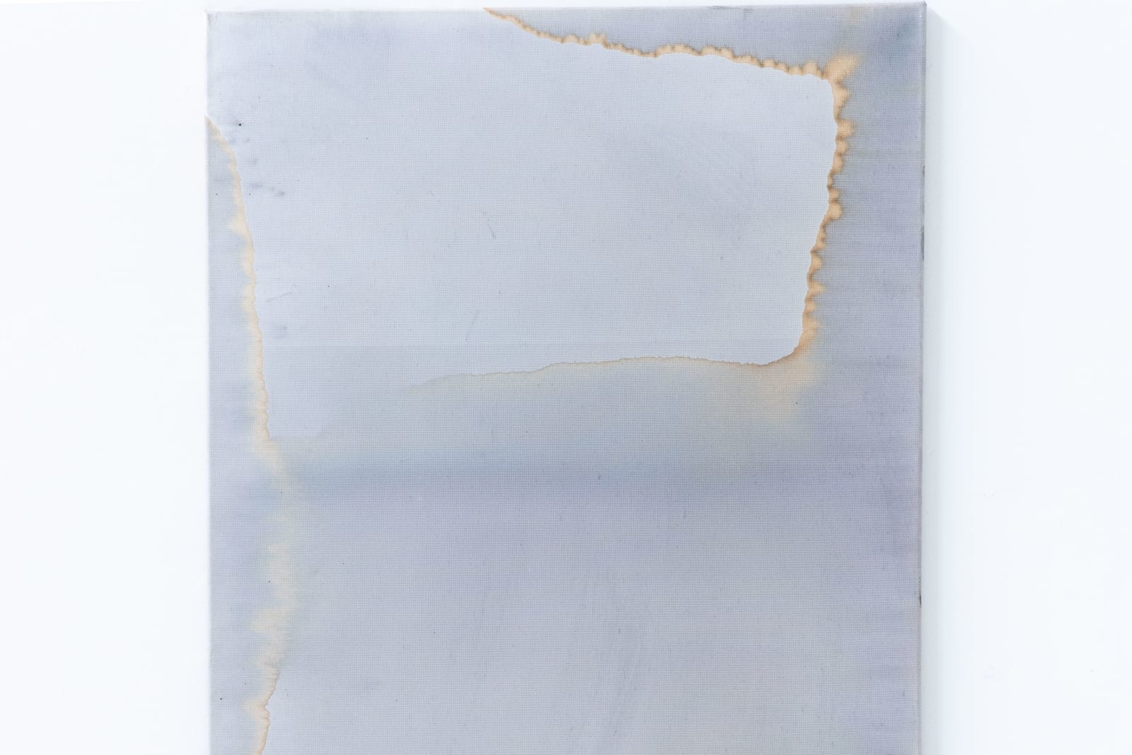 Ciro Duclos, Purple corn paintings (big) #15, 2021