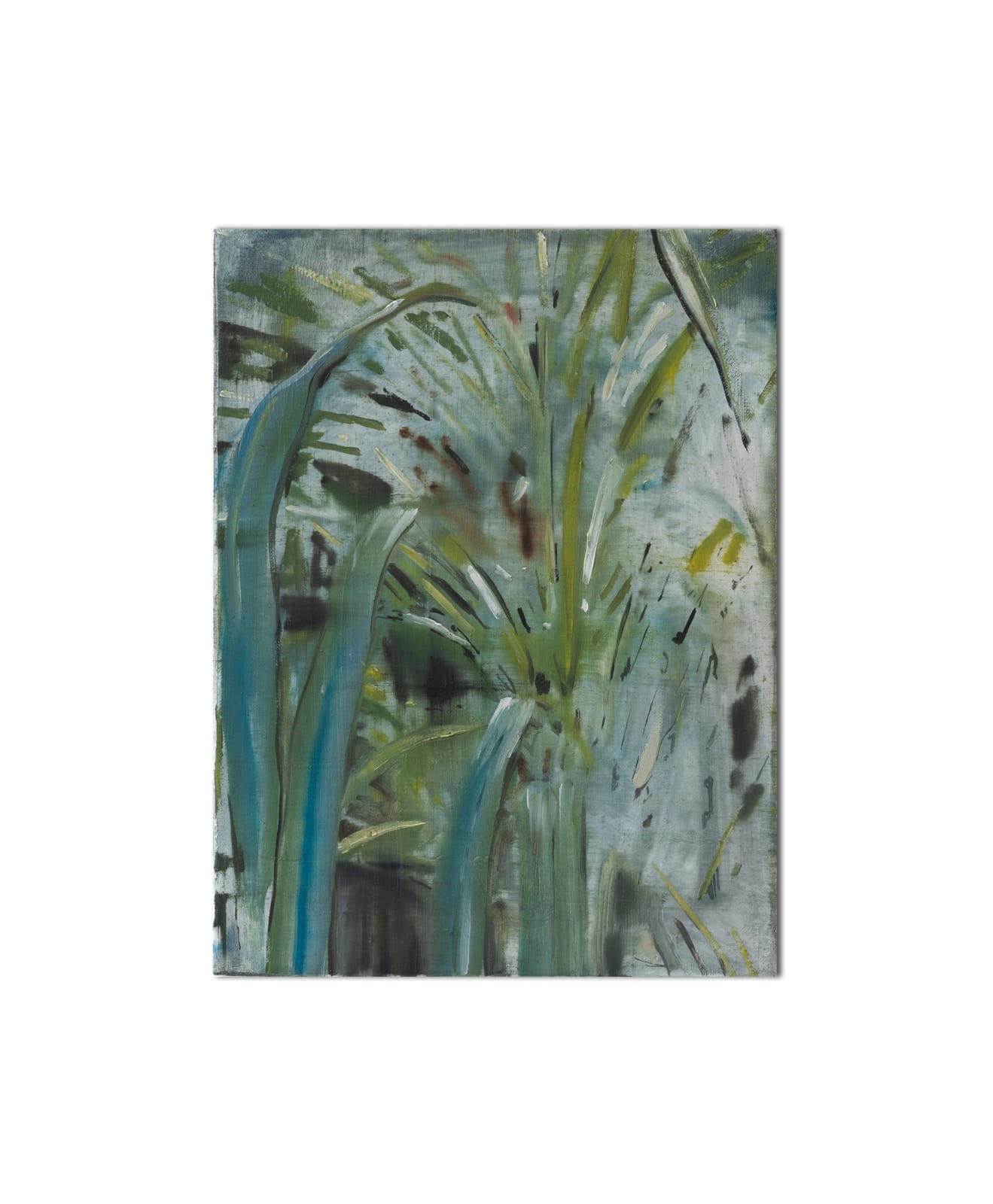 Bram Kinsbergen, Botanical studies (02), 2023