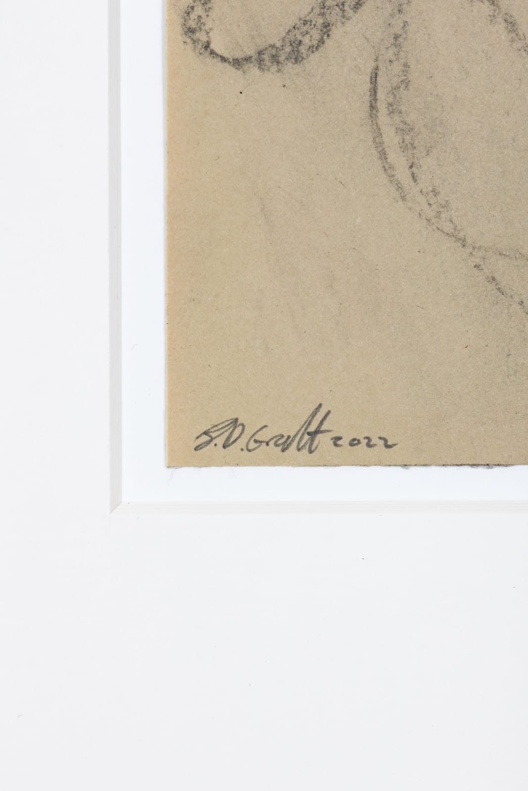 B.D. Graft, Bee 2, 2022