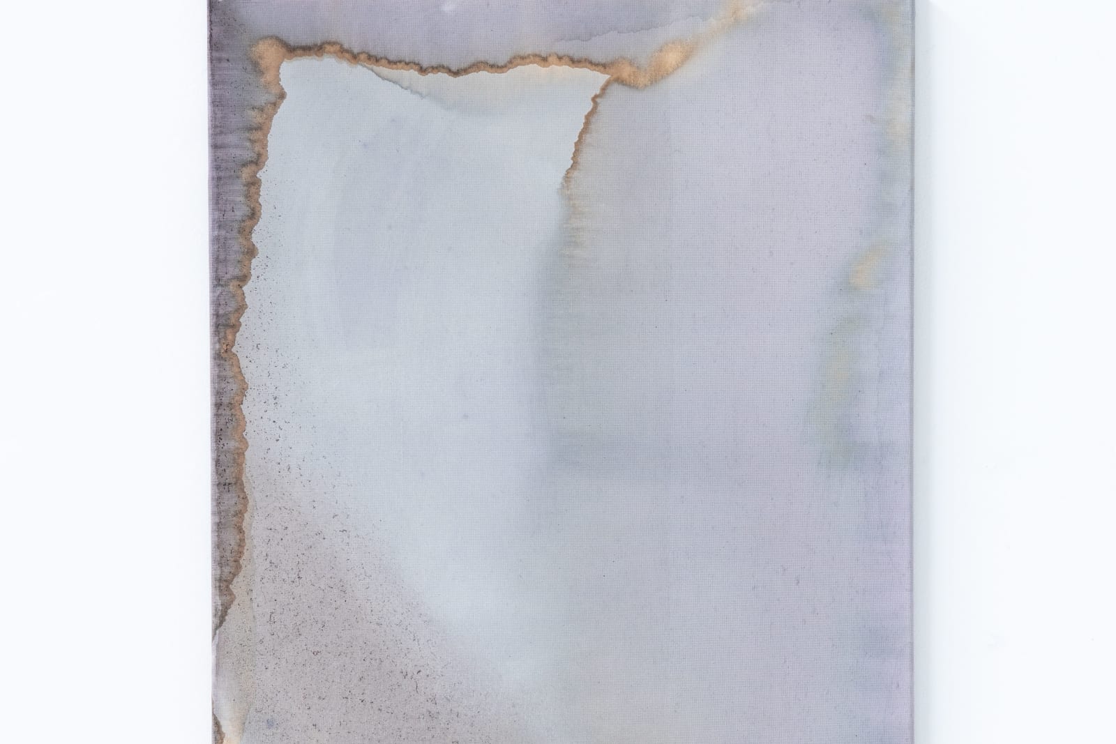 Ciro Duclos, Purple corn paintings (big) #17, 2021