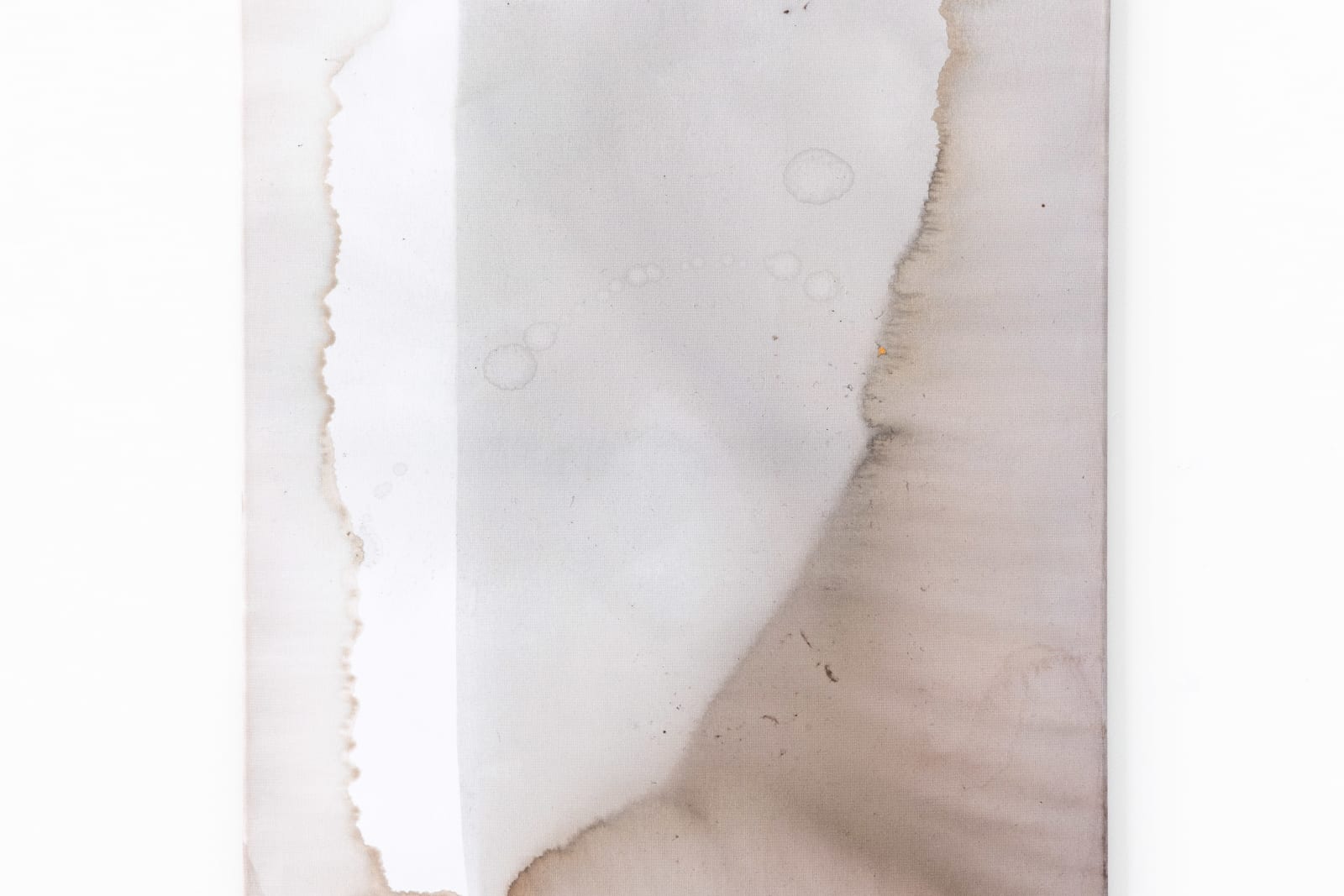 Ciro Duclos, Purple corn paintings (big) #8, 2021