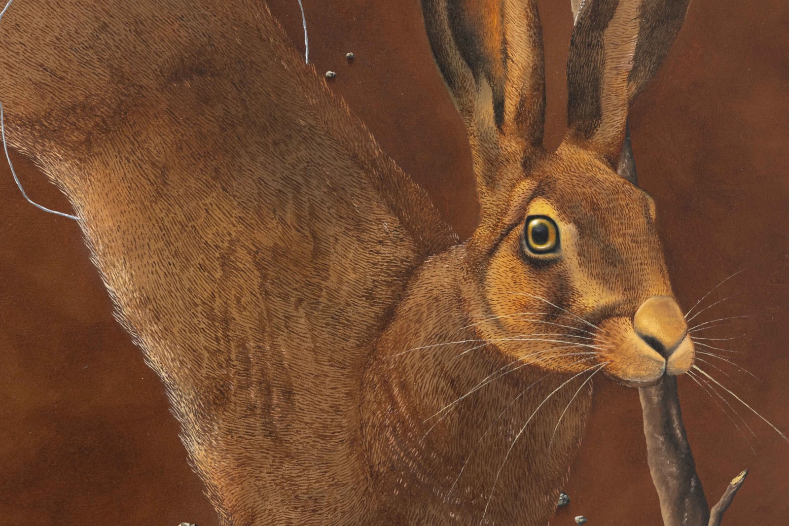Dittmar Viane, The Hare and the Snare, 2022