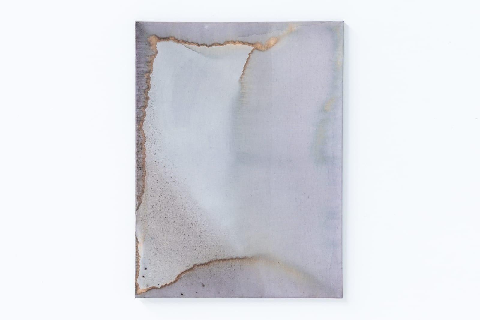 Ciro Duclos, Purple corn paintings (big) #17, 2021
