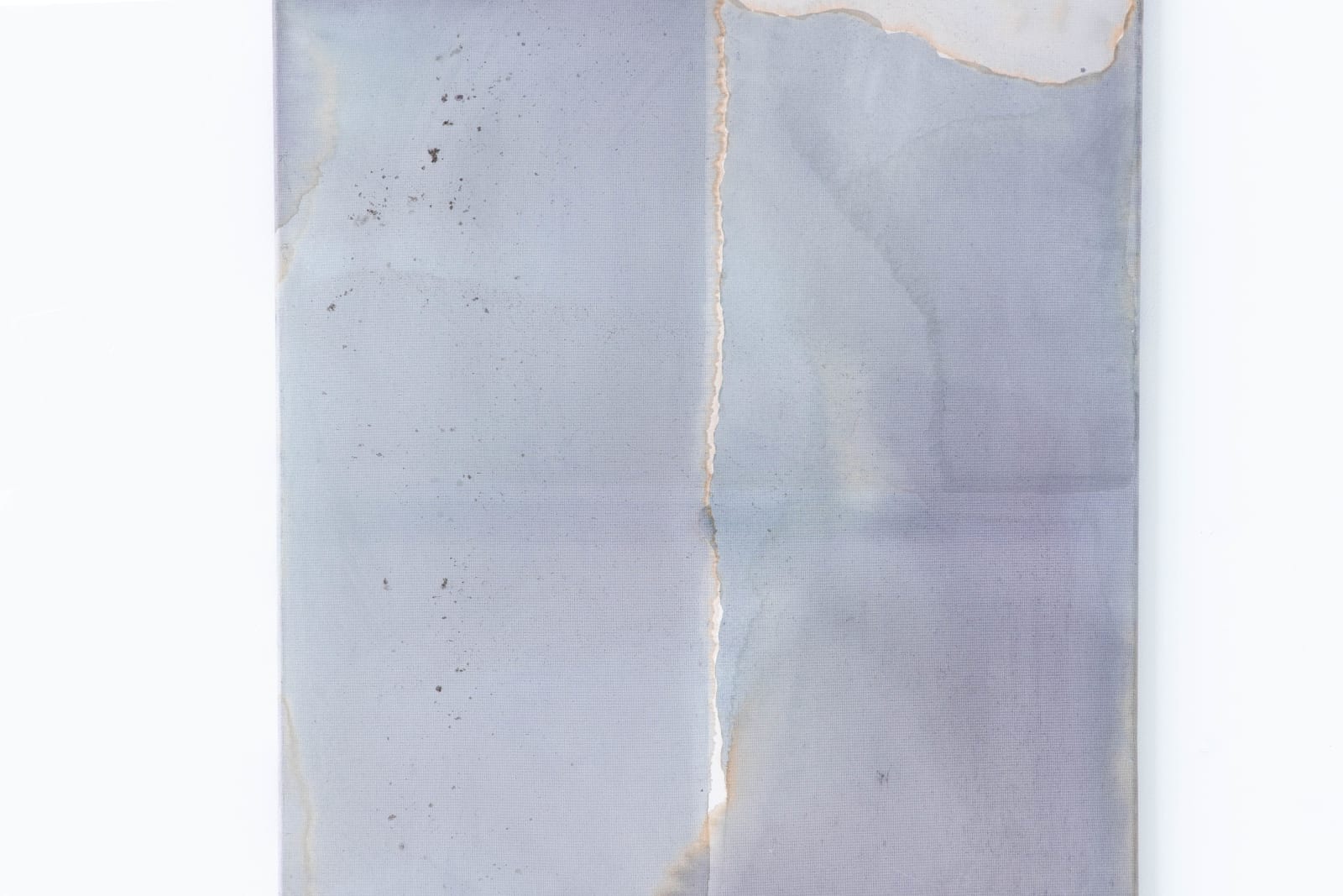 Ciro Duclos, Purple Corn Paintings (big) #1, 2021