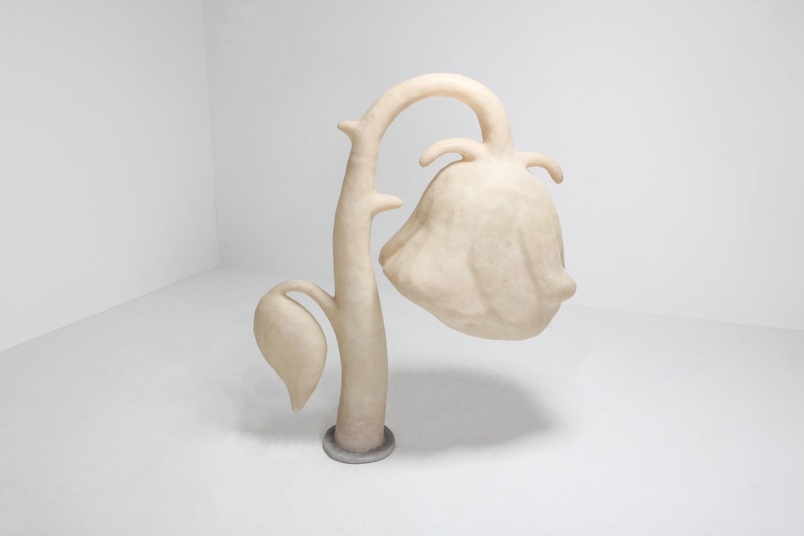 Daan Gielis, Mama, je hoeft niet te huilen, 2019