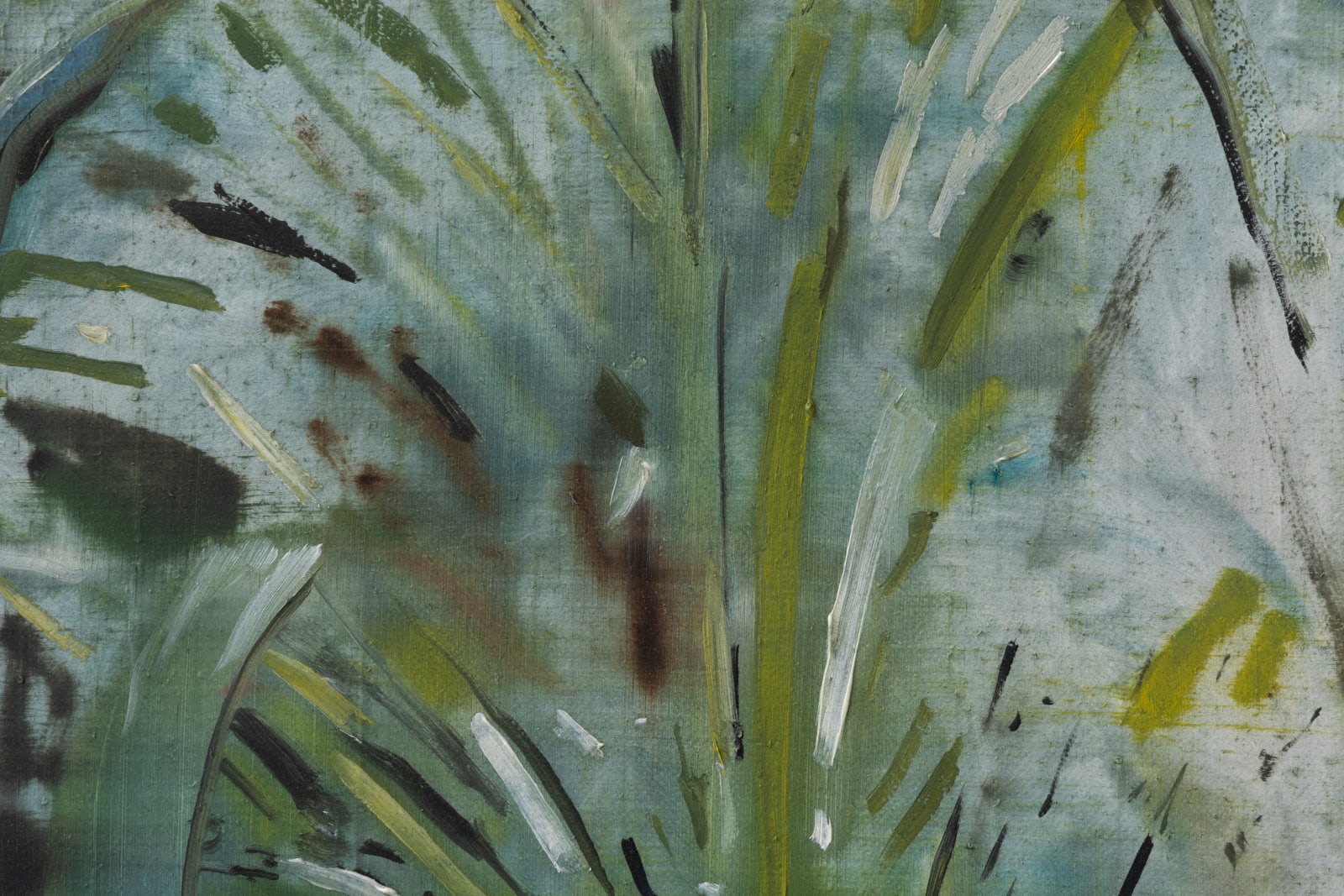 Bram Kinsbergen, Botanical studies (02), 2023