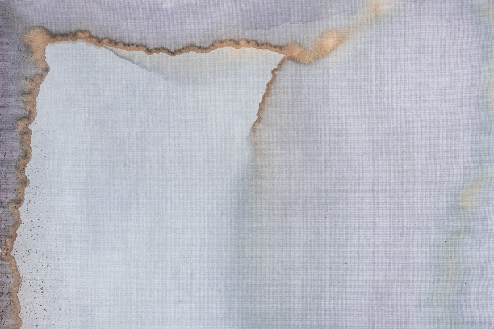 Ciro Duclos, Purple corn paintings (big) #17, 2021