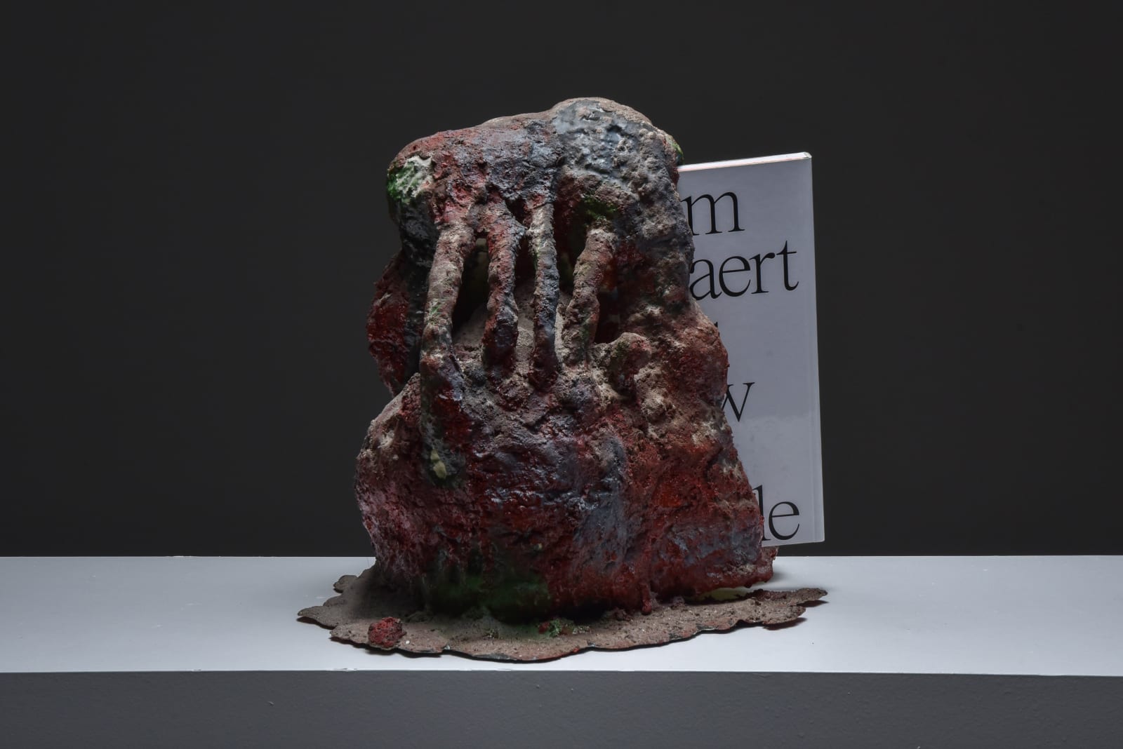 Tom Volkaert, Selfportrait #7, 2020