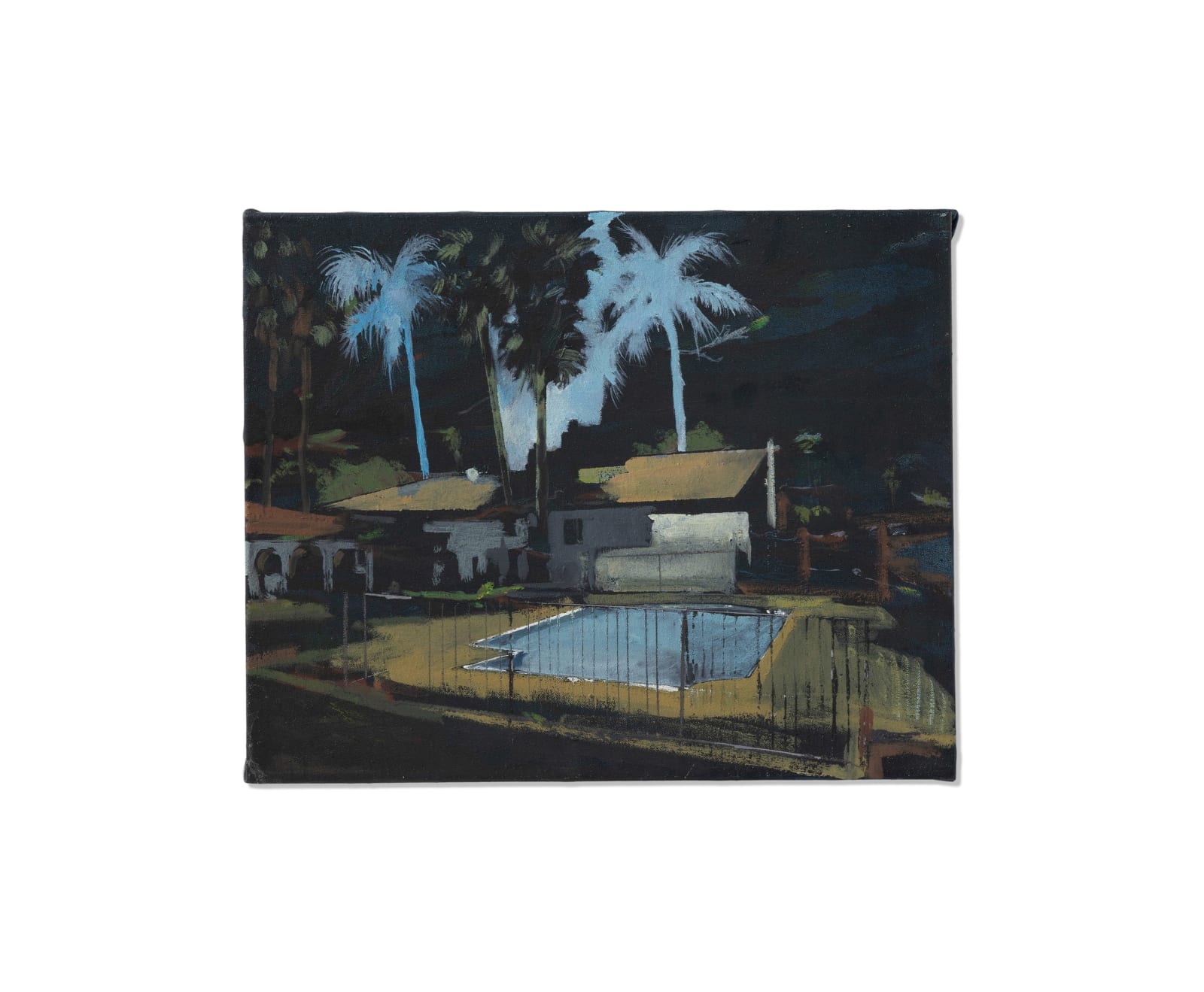 Bram Kinsbergen, The day the palmtrees metamorphosed, 2021