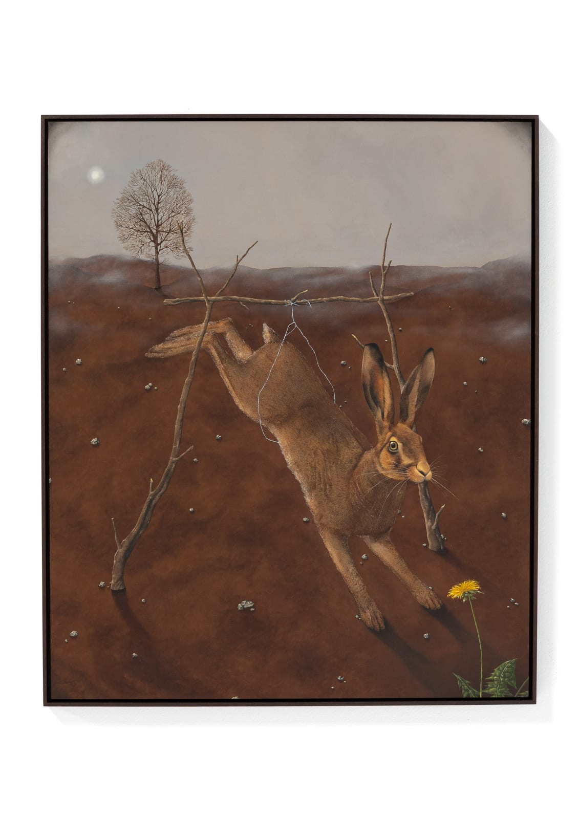 Dittmar Viane, The Hare and the Snare, 2022