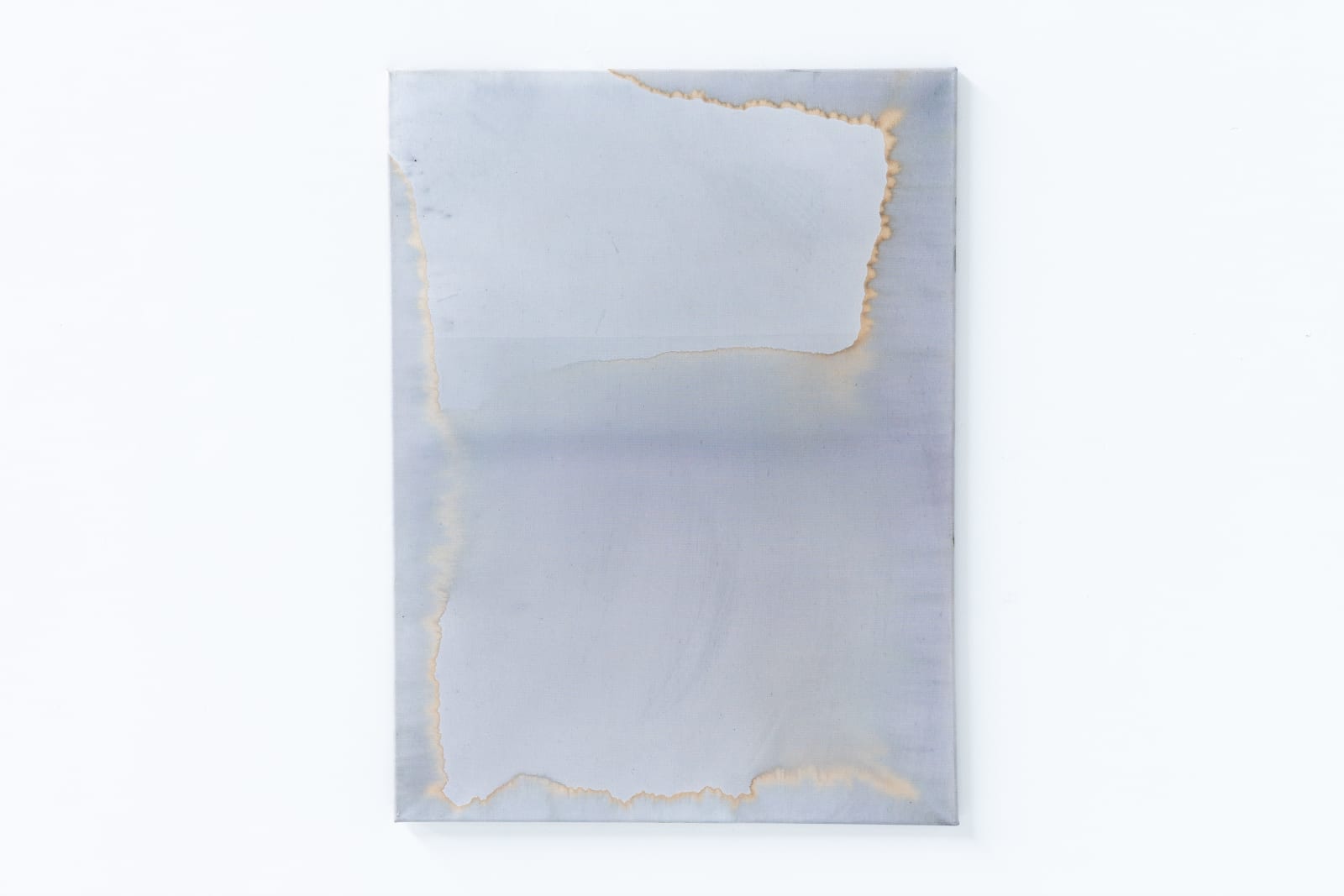 Ciro Duclos, Purple corn paintings (big) #15, 2021