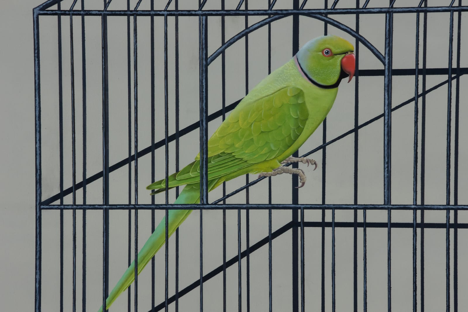 Dittmar Viane, Release of a Bird, 2022
