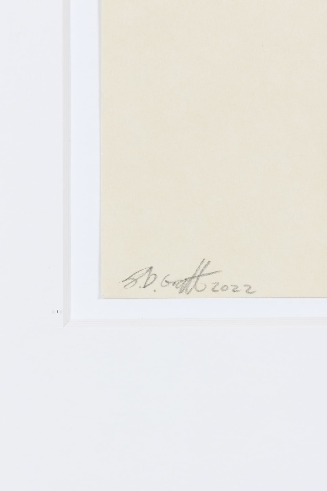 B.D. Graft, Bee 1, 2022