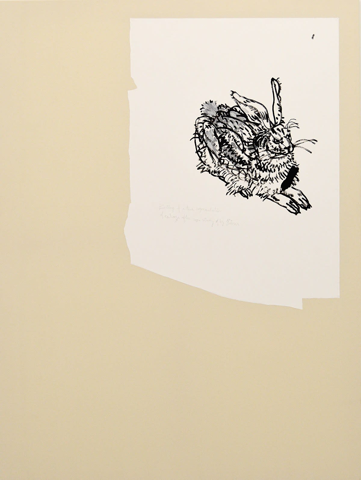 Adrien Vermont, LIEVRE DE DURER, 2017