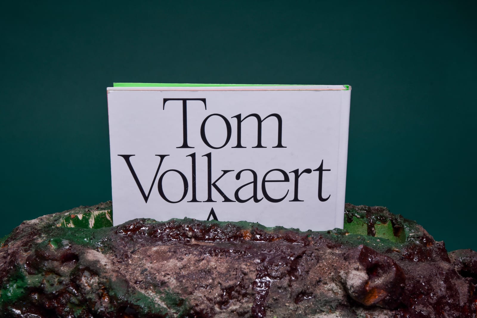 Tom Volkaert, Selfportrait #6, 2020