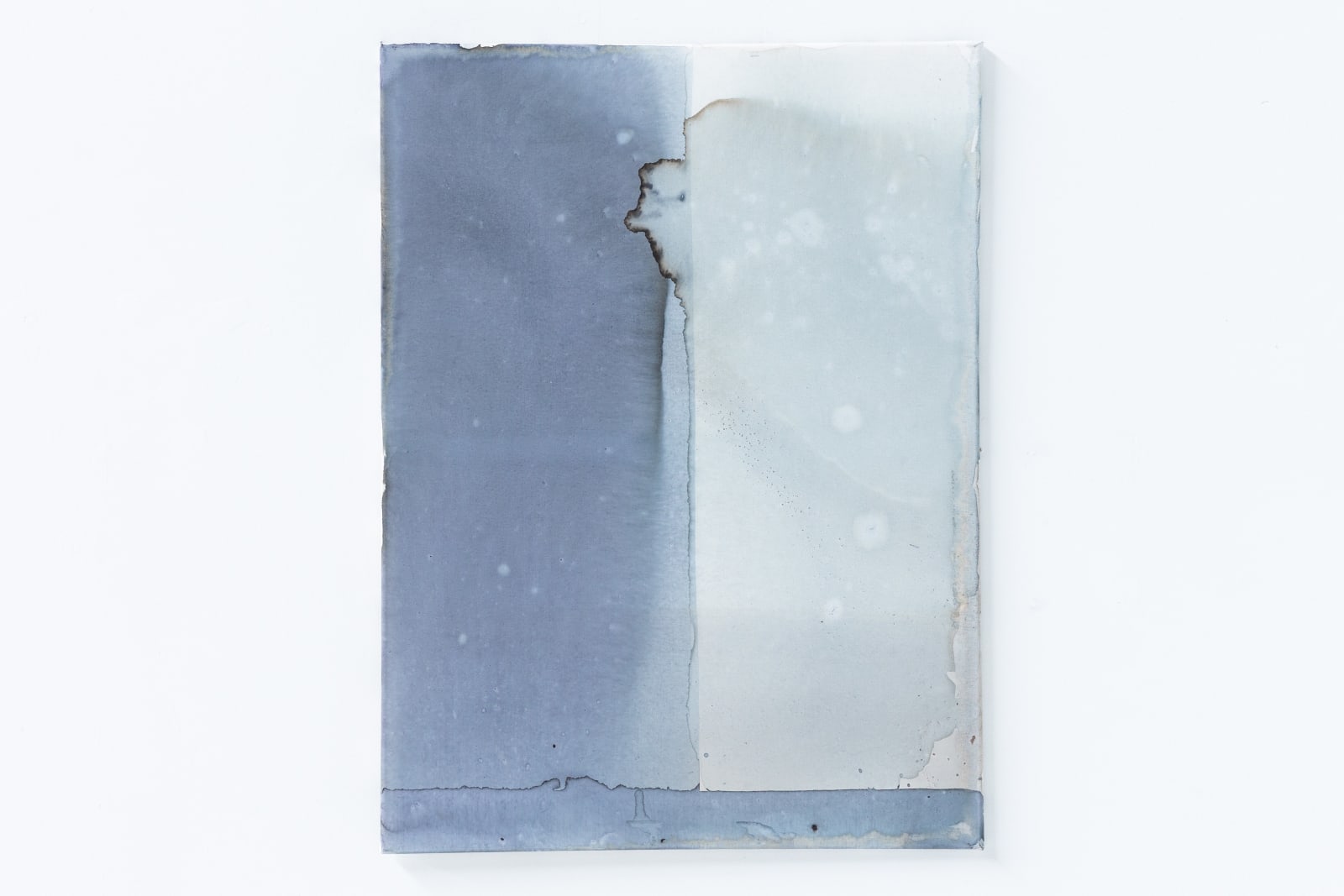 Ciro Duclos, Purple corn paintings (big) #18, 2021