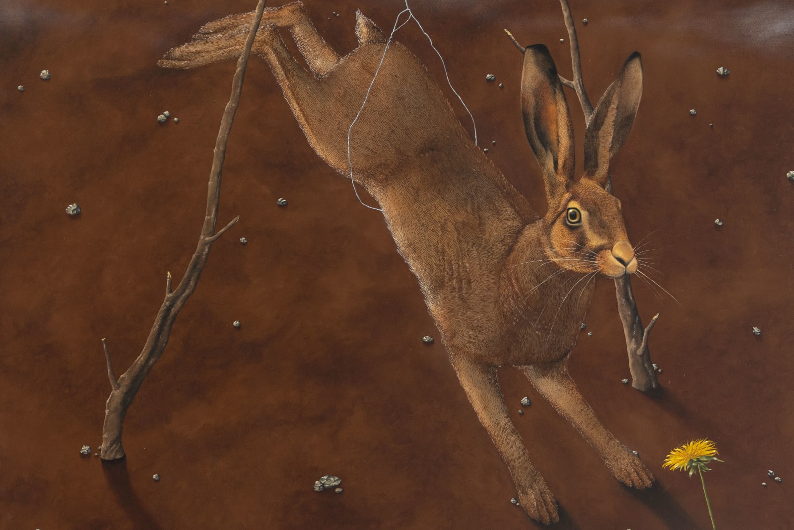 Dittmar Viane, The Hare and the Snare, 2022