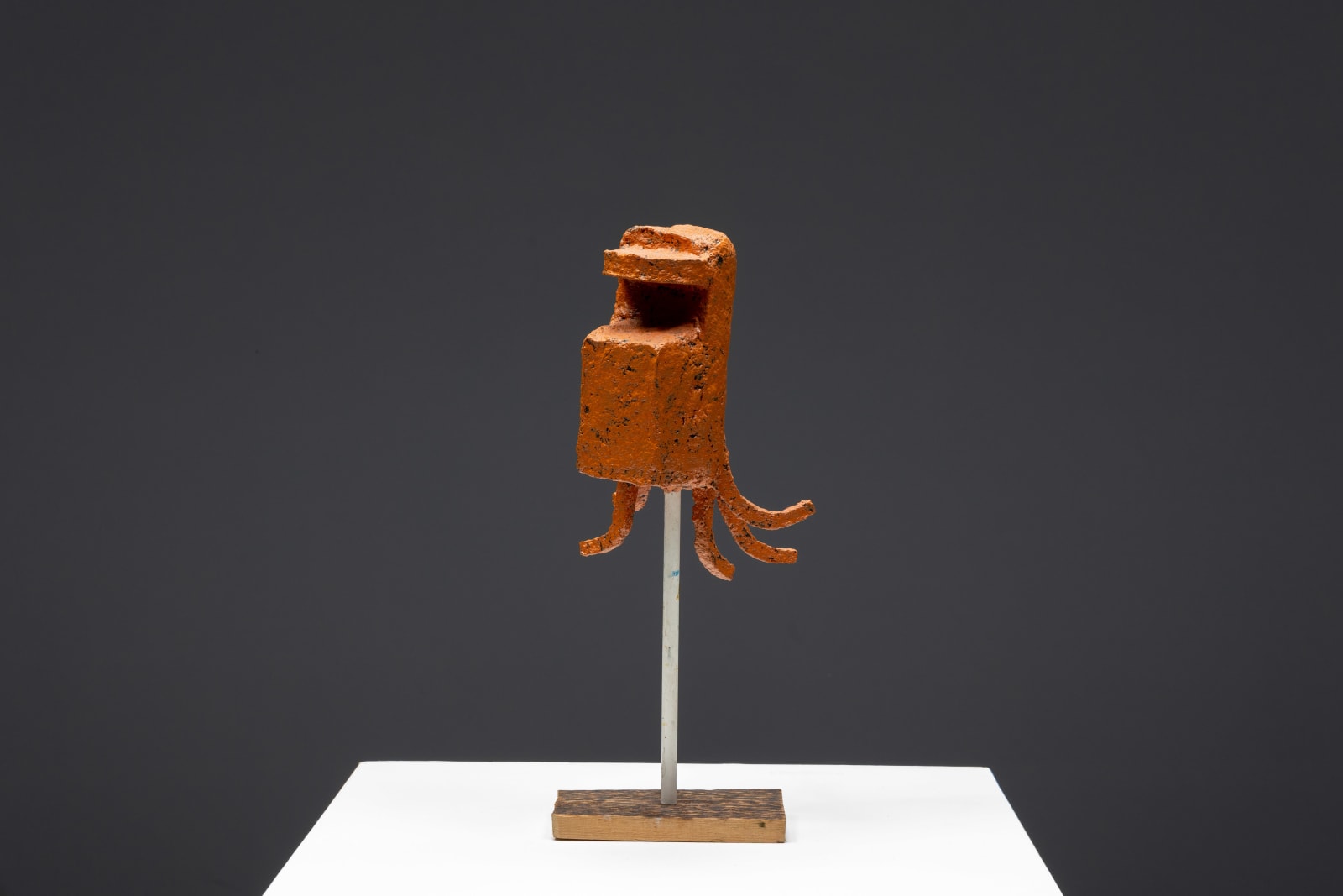 Francisco Mendes Moreira, Castaway, 2023