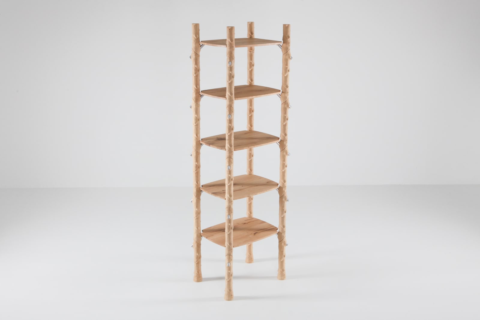 Schimmel & Schweikle, Branch-ish shelf, 2020