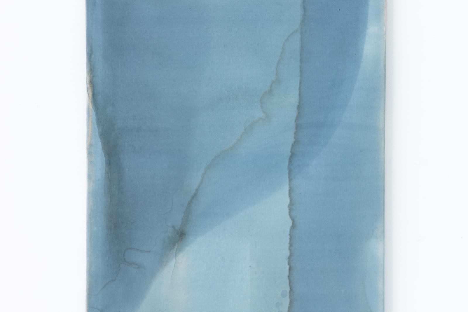 Ciro Duclos, Purple corn paintings (big) #6, 2021