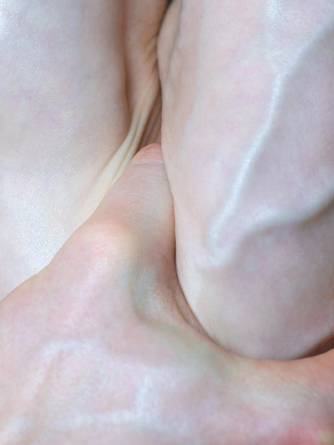 Florian Hetz, Untitled (1 - small), 2017