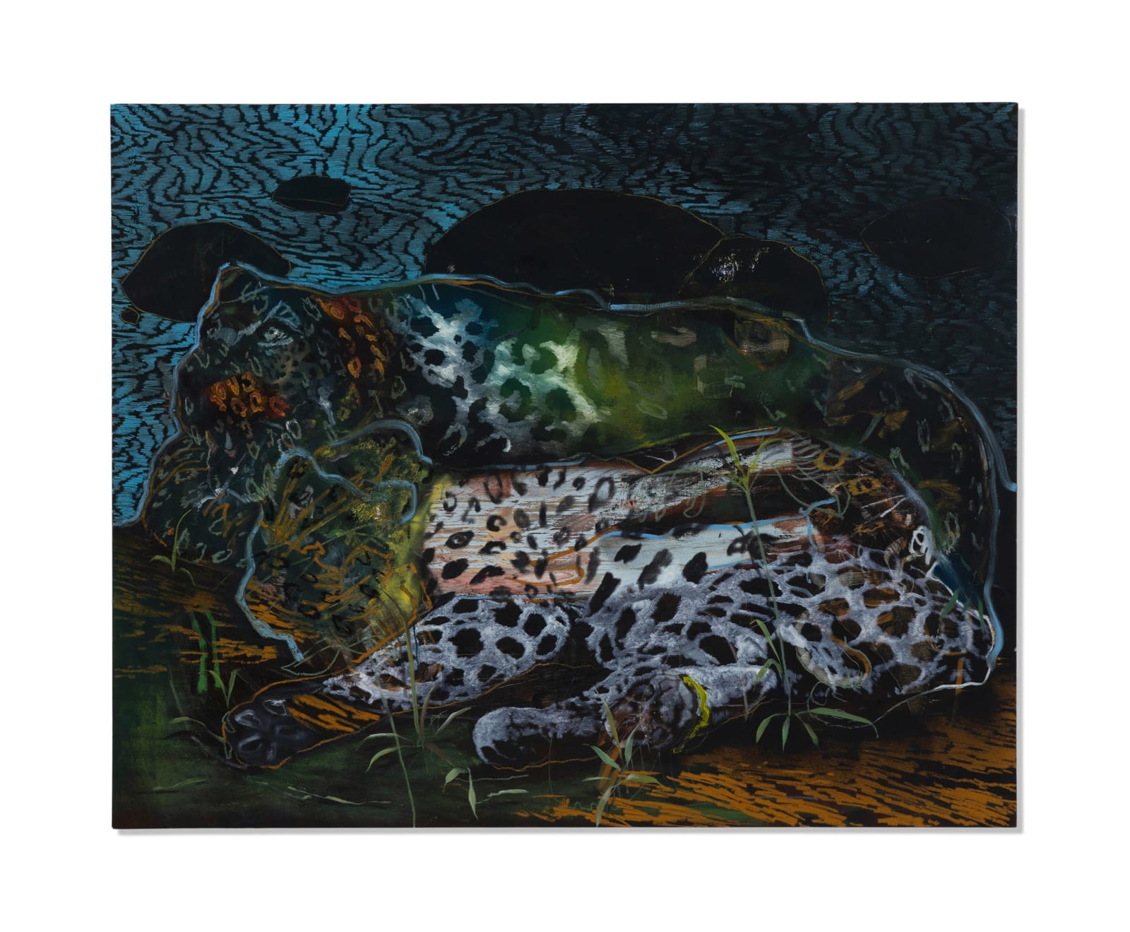 Bram Kinsbergen, Compassion, 2022
