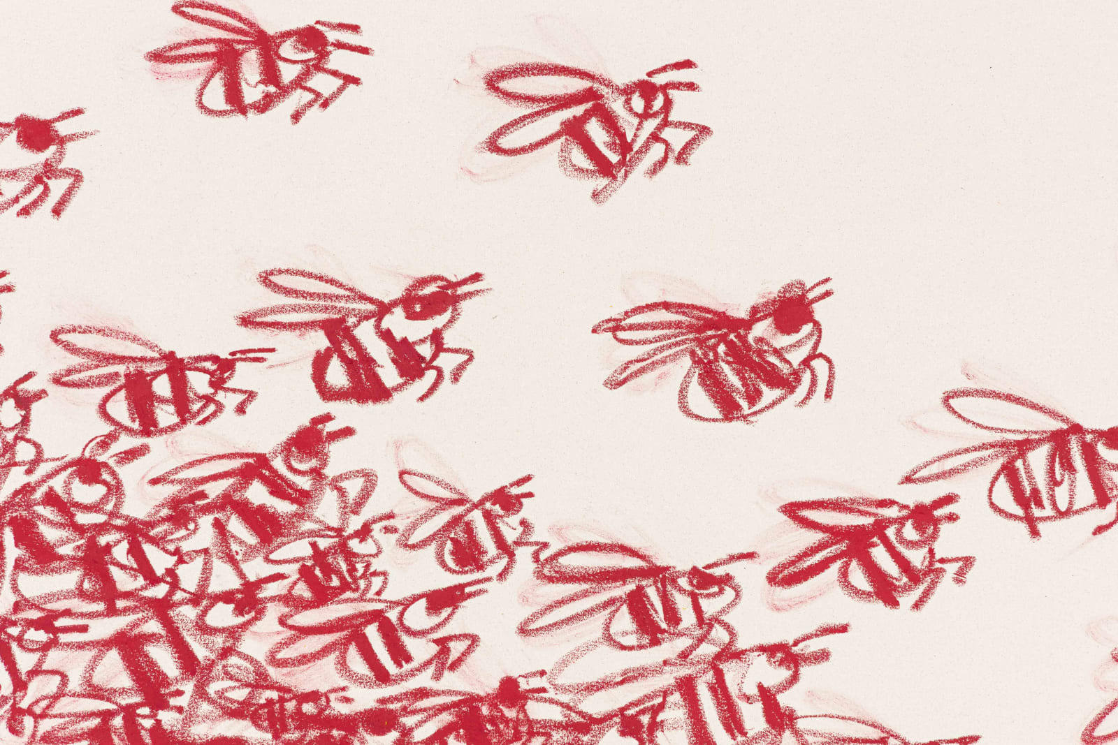 B.D. Graft, Pollinators, 2022