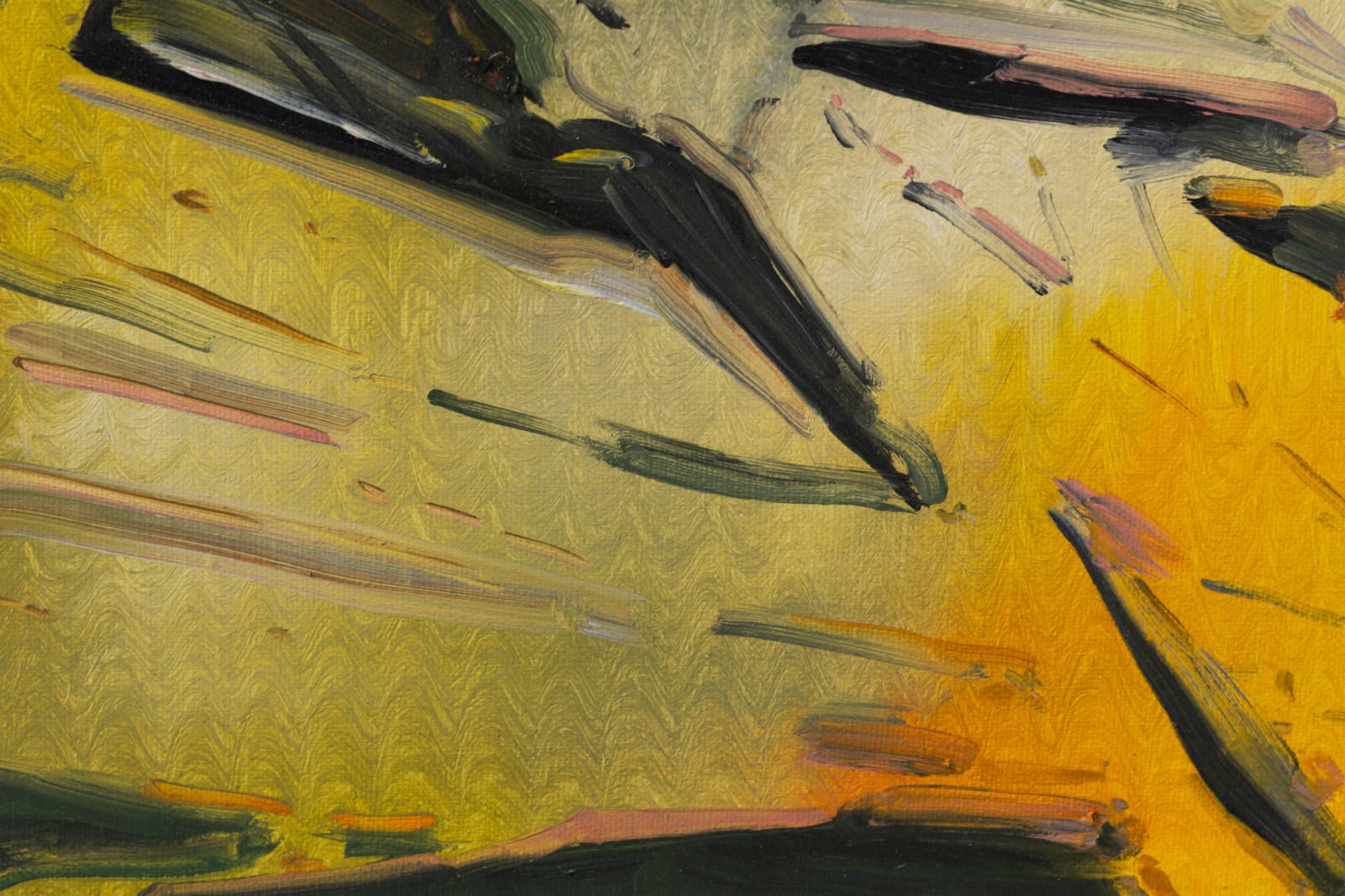 Bram Kinsbergen, Botanical studies (01), 2023
