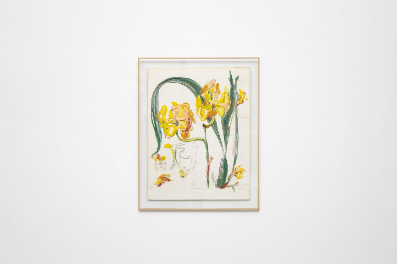 Sophie Kitching, Recaptured Flora III, 2022