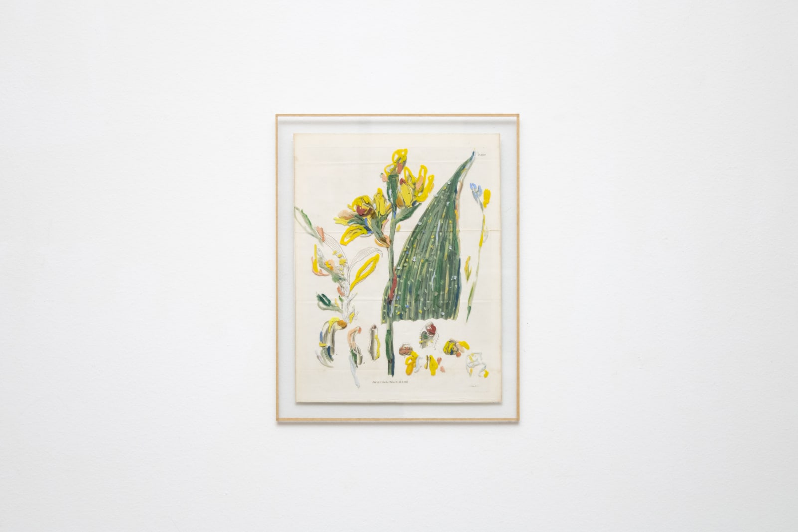 Sophie Kitching, Recaptured Flora IV, 2022