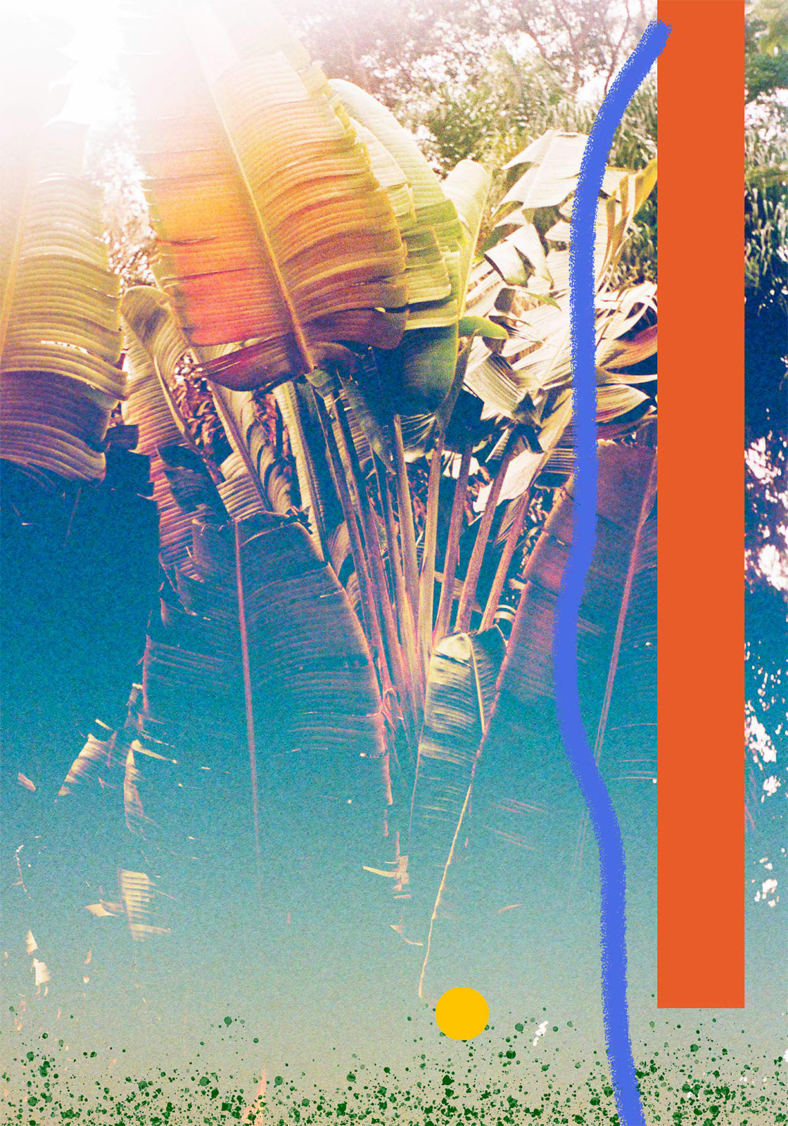 Alice Quaresma, Looking Ahead, 2022