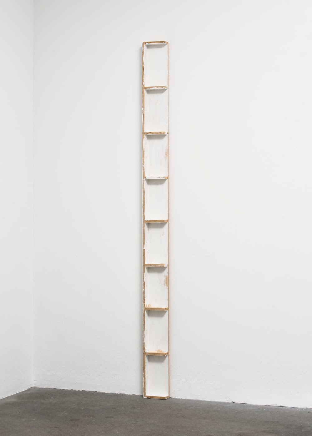 Fernanda Gomes, Untitled, 2013