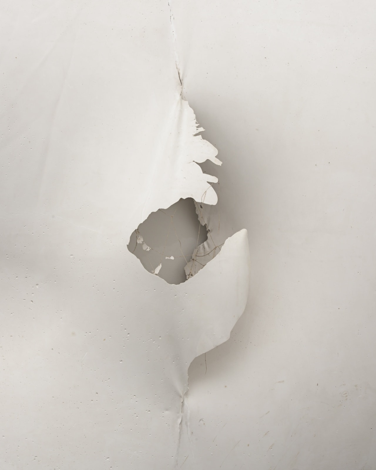 Maria Bartuszová, Untitled, 1986