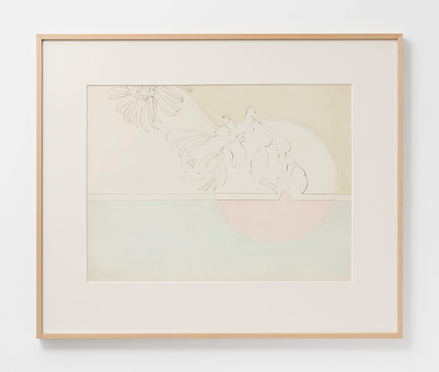 Hannah Wilke, Untitled (Daisies), c. 1966-67