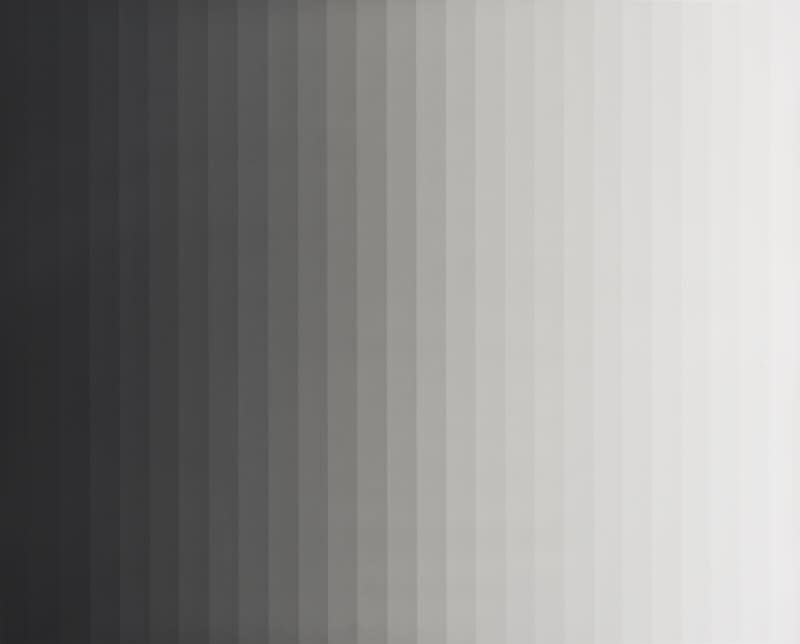 Iran do Espírito Santo, Untitled (Photogram 3 - Vertical), 2013