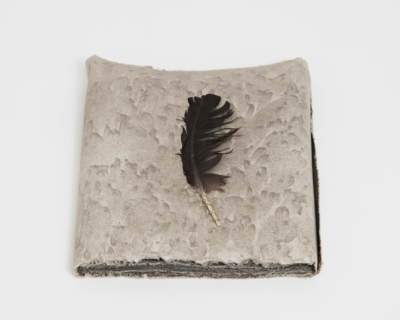 Michelle Stuart, Wind Book: Tikal, 1978