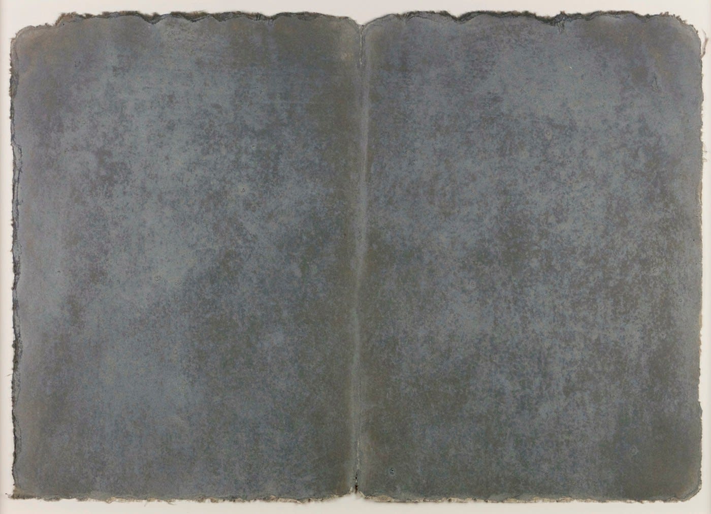 Michelle Stuart, Ledger Series: Campeche, 1979-1980