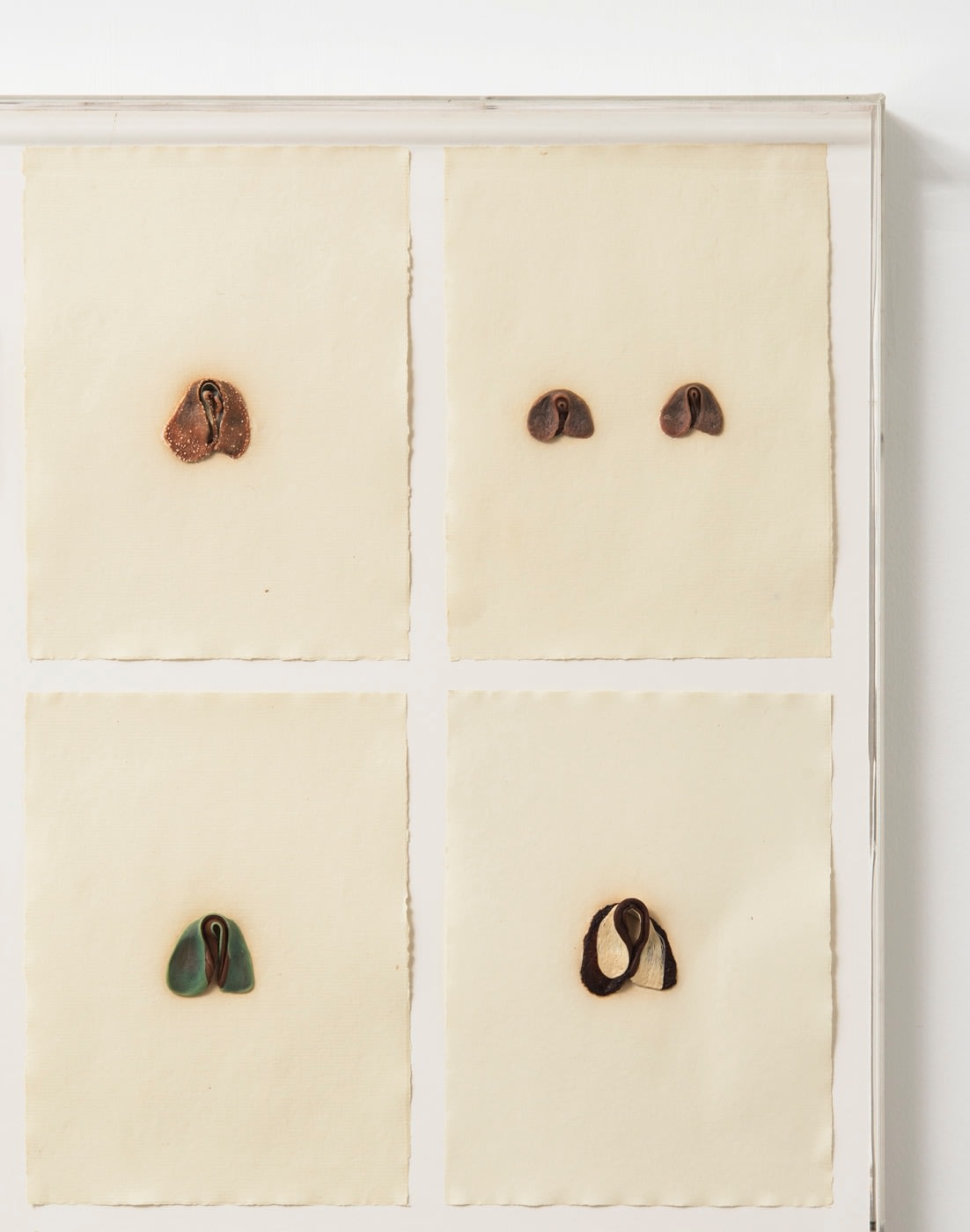 Hannah Wilke, S.O.S. Starification Object Series #4 (Mastication Box), 1975