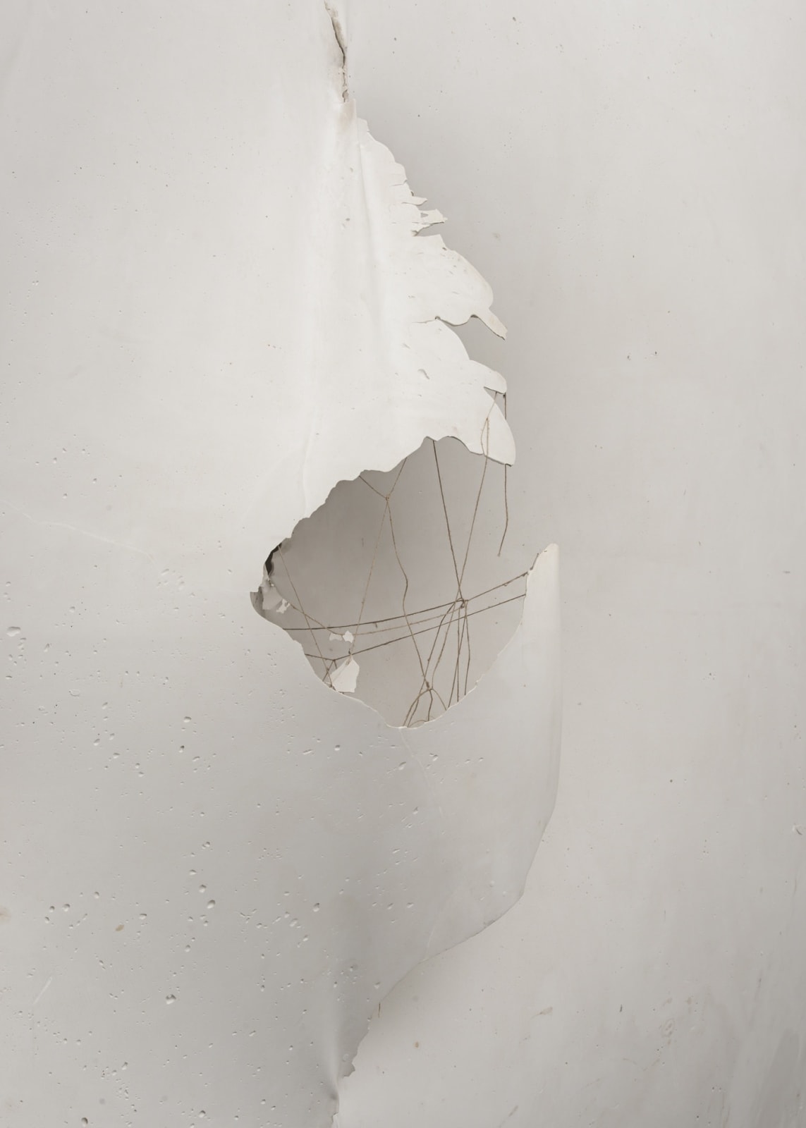 Maria Bartuszová, Untitled, 1986