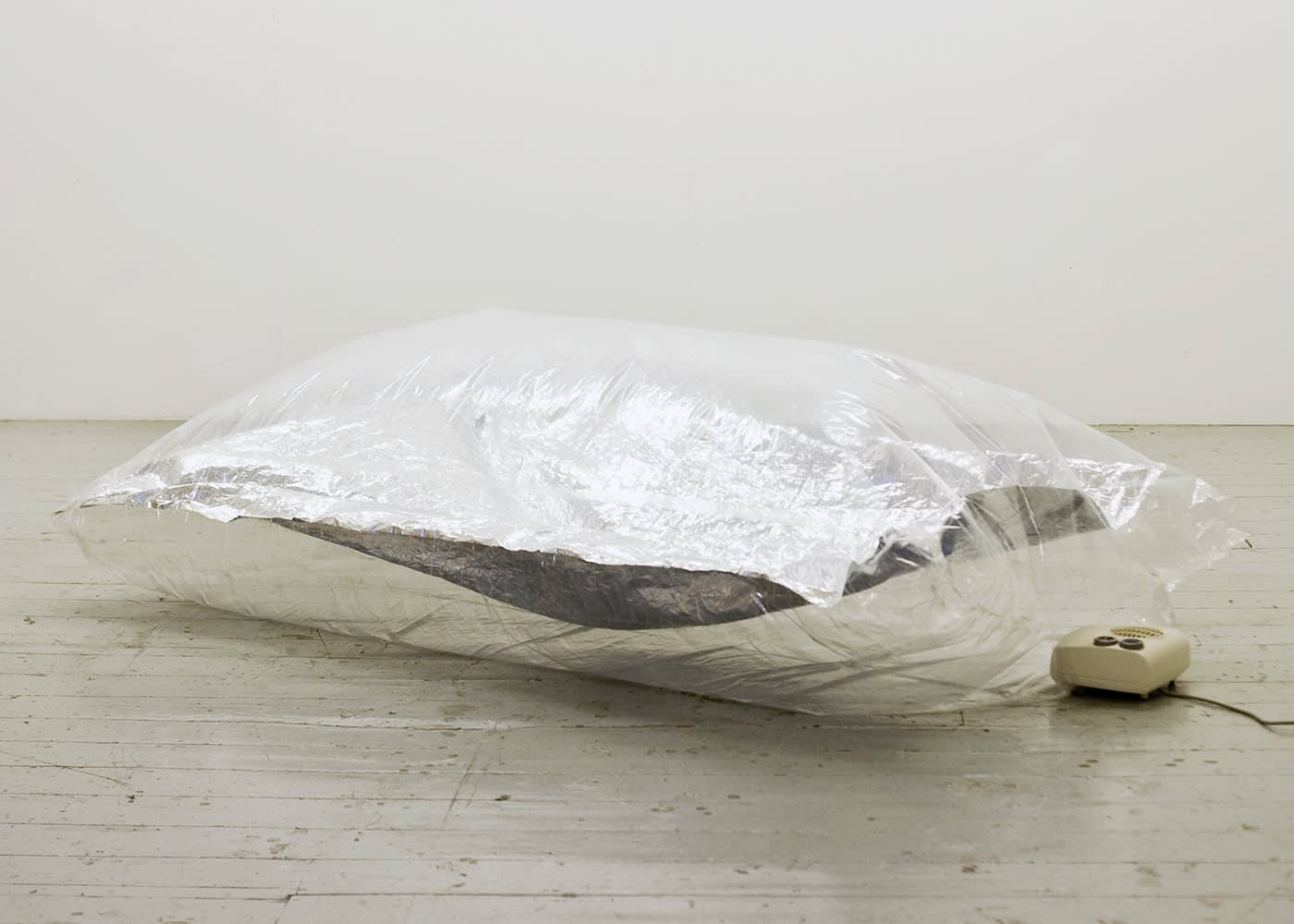 Ian Kiaer, Melnikov project, lab b (silver), 2011