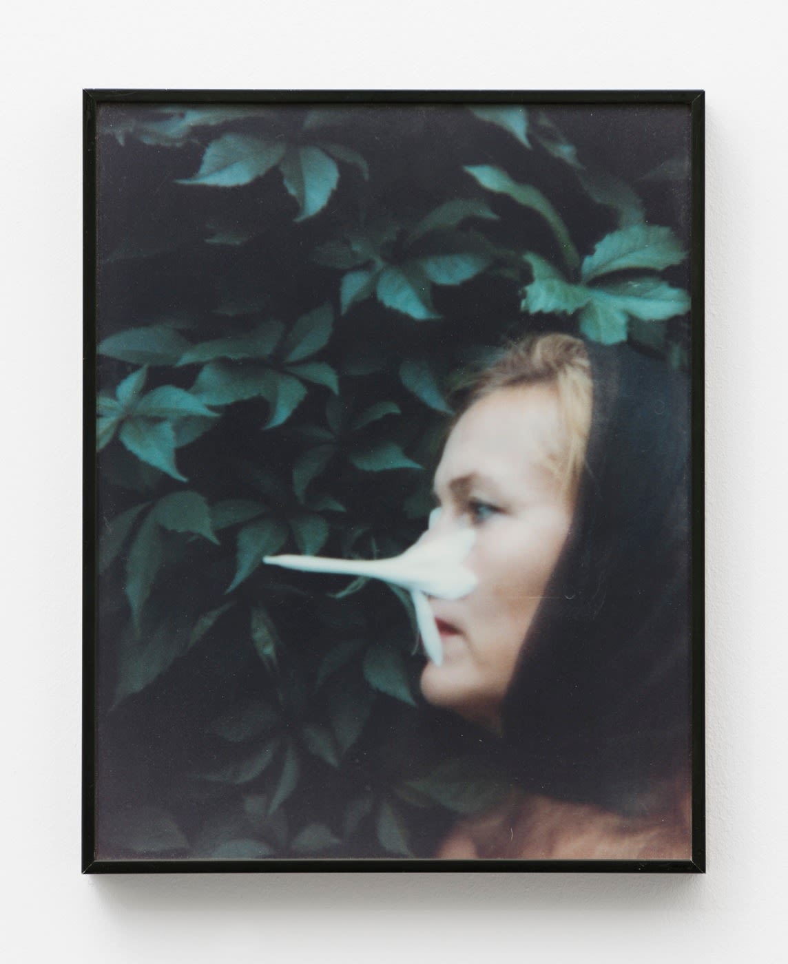 Birgit Jürgenssen, Untitled, 1995