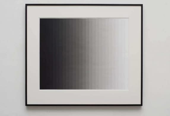 Iran do Espírito Santo, Untitled (Photogram 3 - Vertical), 2013