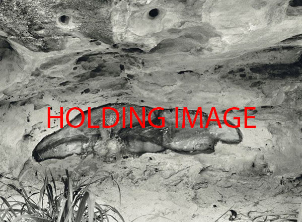 Ana Mendieta, La Venus Negra (The Black Venus), 1981